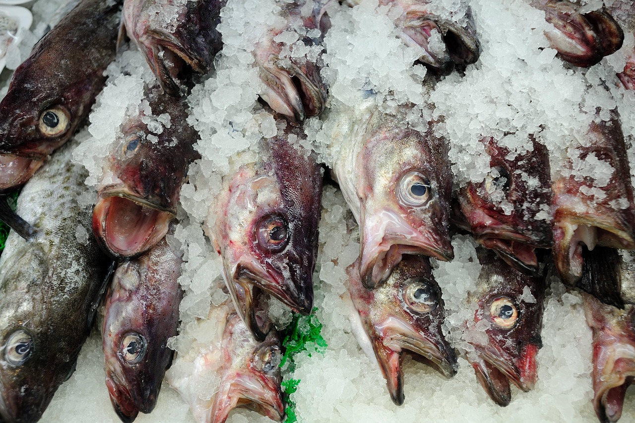 Fish - free online jigsaw puzzle photo
