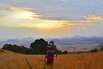 clouds, cropland, dawn