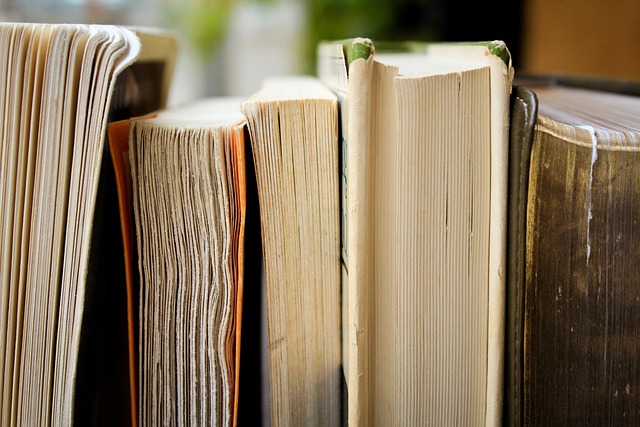 christmas background, books, education, library, pile, knowledge, wisdom, learn, study, read, novels, old, antique