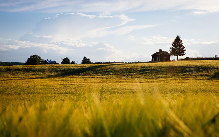 30,000+ Free Farm &amp; Agriculture Images
