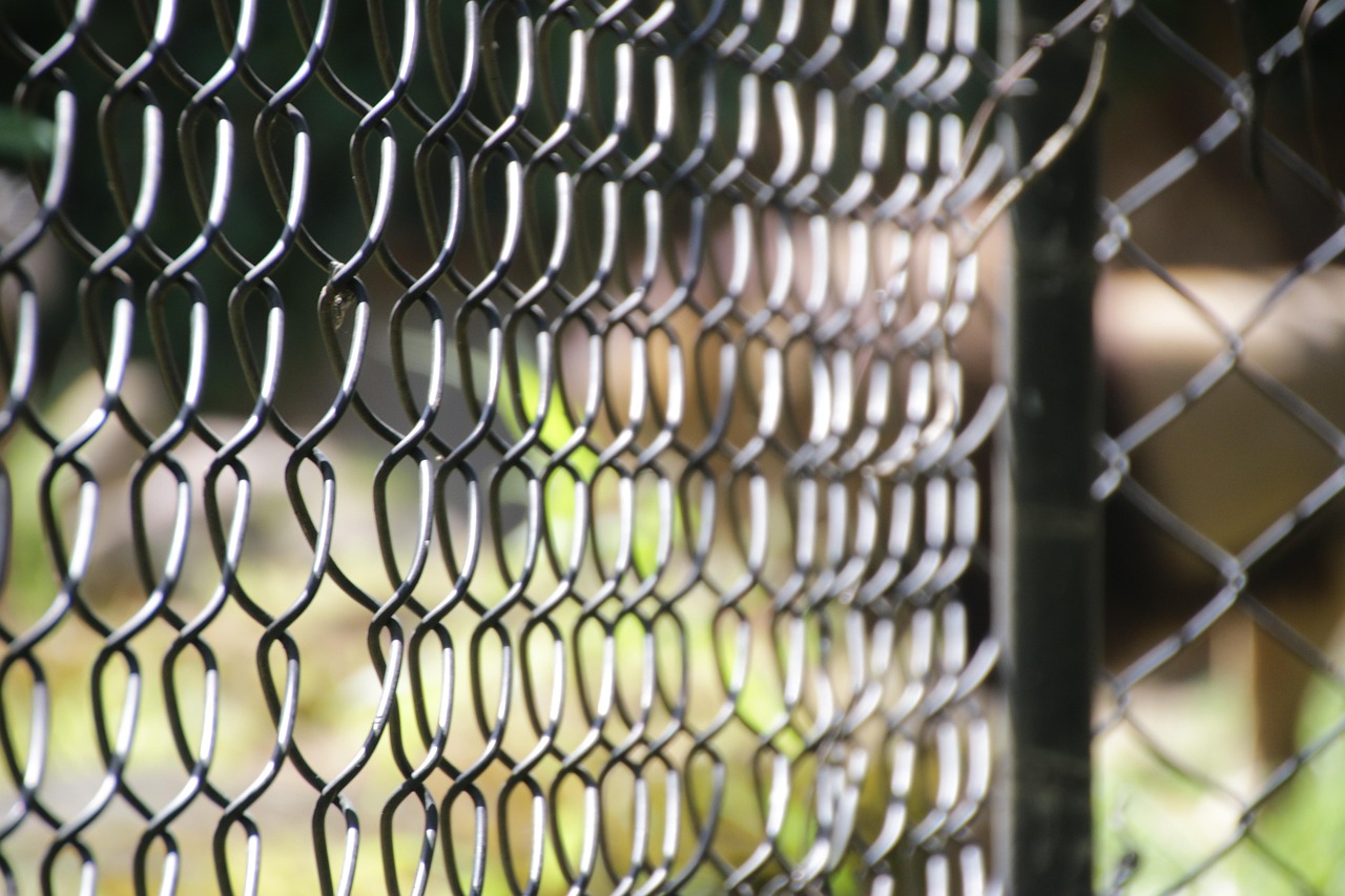 cage4
