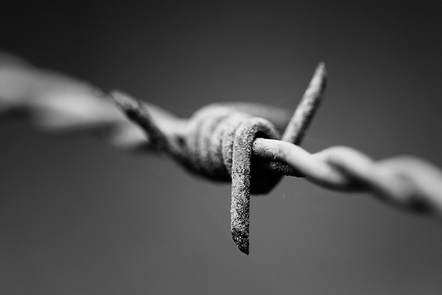 Free Nails Barbed photo and picture
