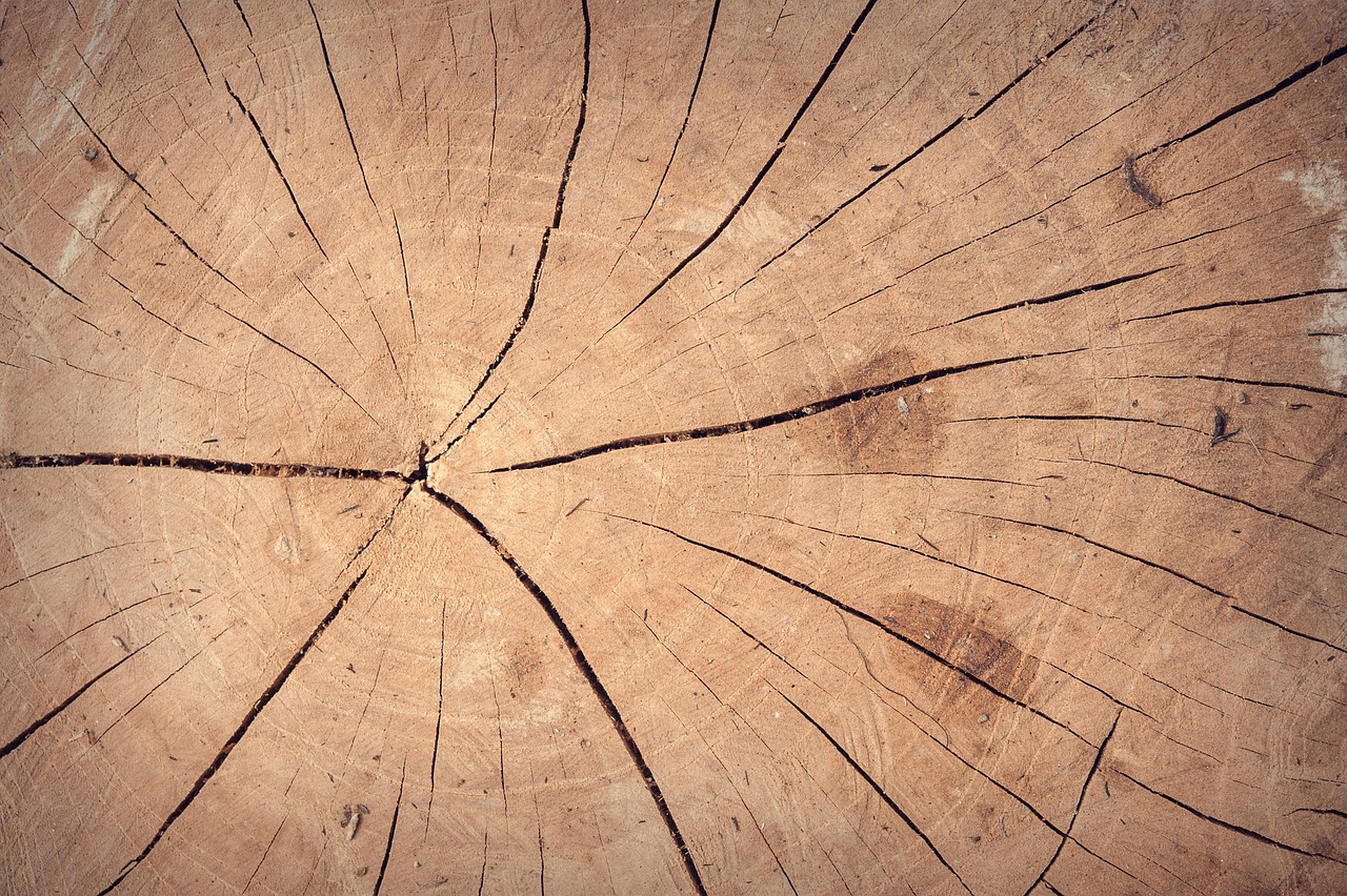 Abstract - free online jigsaw puzzle photo