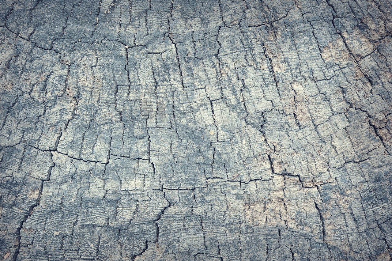 Abstract - free online jigsaw puzzle photo