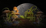 plants, mushrooms, garden