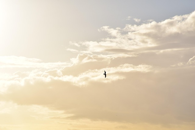 Free Heaven Nature photo and picture