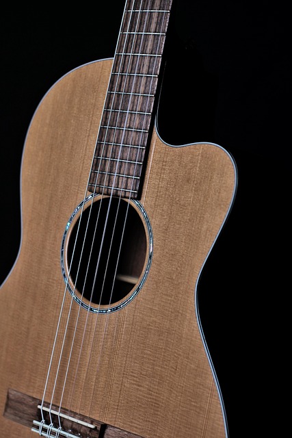 Free Guitar Acoustic Guitar photo and picture