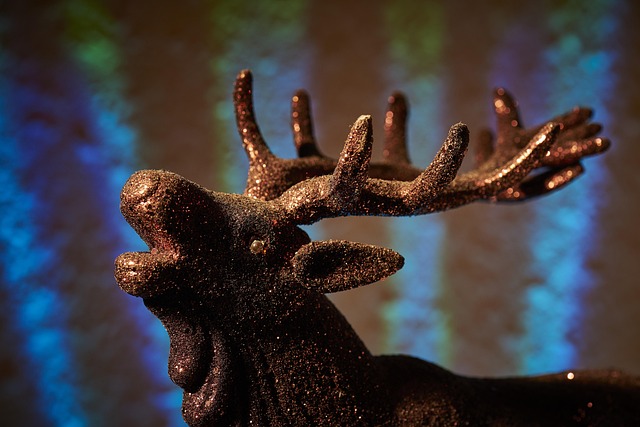 Free Christmas Winter photo and picture