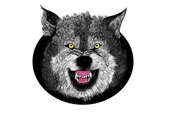 Free wolf evil nature illustration