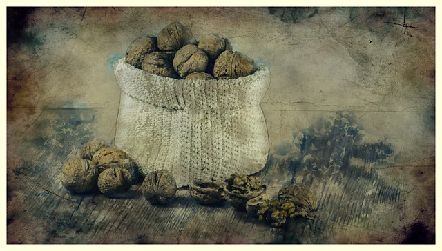 Free nuts crop bag illustration