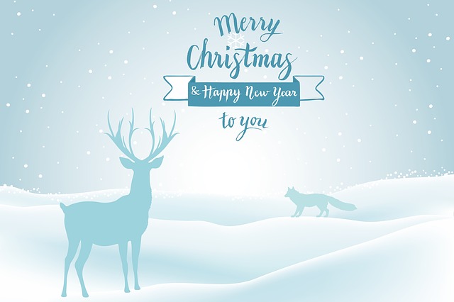 Free merry christmas fixed congratulation illustration