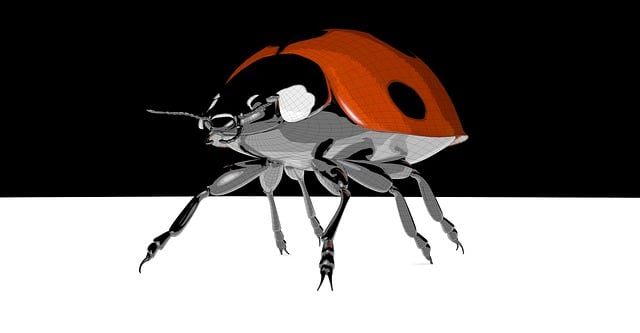 Free ladybug contour lines illustration