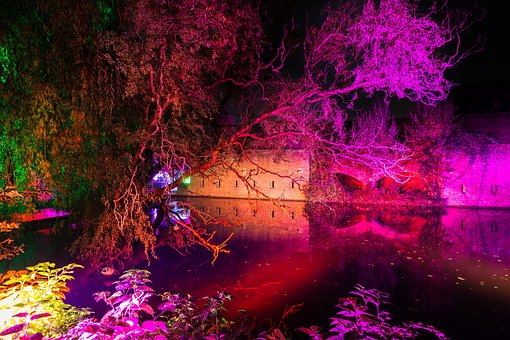 Free Lights Multicoloured photo and picture
