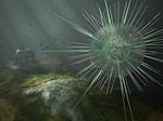 amoeba, sun tierchen, virus