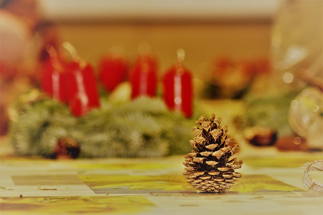 Free Christmas Success photo and picture