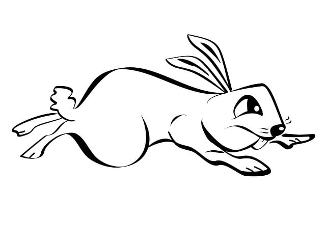 Free rabbit jump png illustration