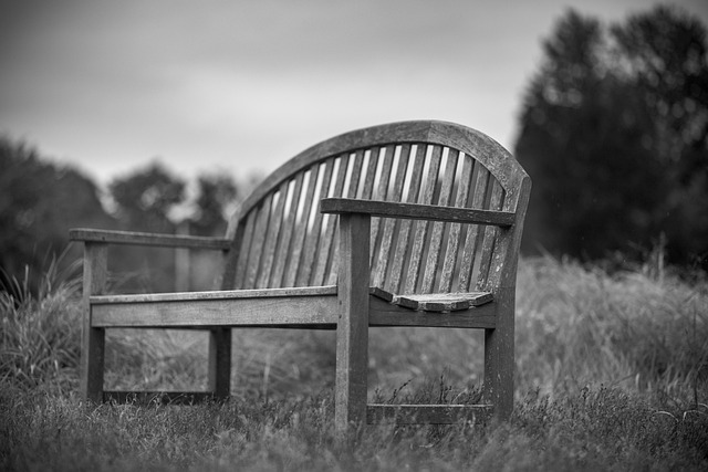 Free Bench Black And White photo and picture