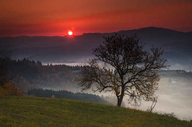 Otoño País Amanecer - Foto gratis en Pixabay - Pixabay
