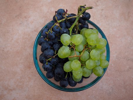 Free Grapes Red photo and picture