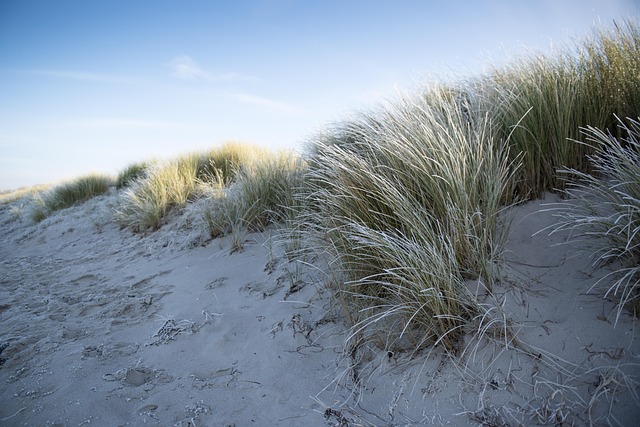 Oostzee, Winter, Duin, Strand, Softijs