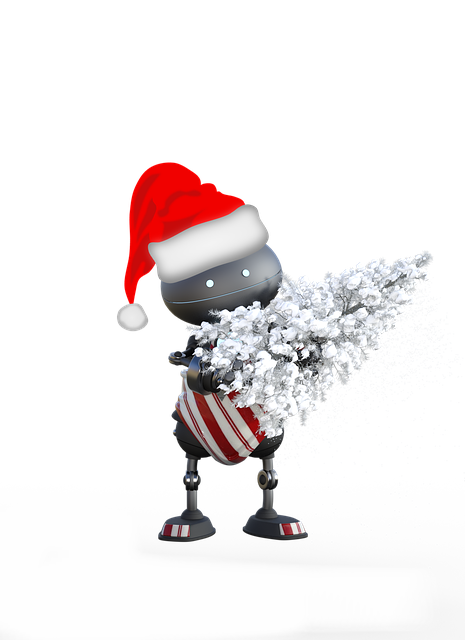 Weihnachten, Weihnachtsfest