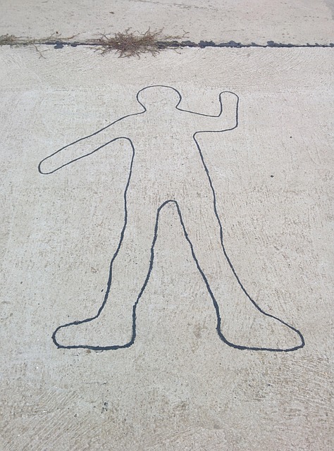 Contornos, Humano, Persona, Lineal