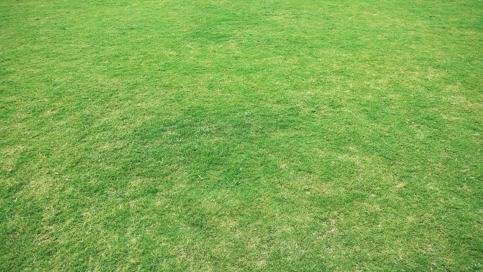 Grass Ground Wallpaper Hd Grass Ground Wallpaper Hd