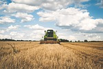 agriculture, cereal, clouds