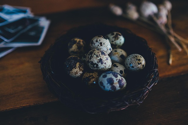 Free Blur Egg photo and picture
