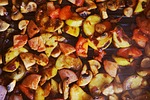 food, fried, grill