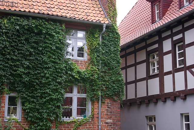 Free Stralsund Old House photo and picture