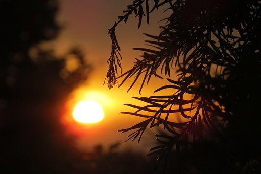 Sonnenuntergang, Sonne, Abendstimmung