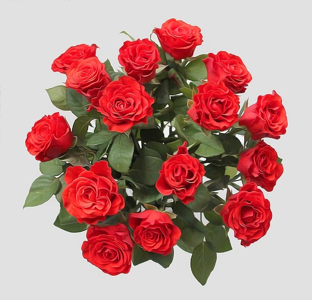 Rosen, Rot, Blumen, Strauß, Blume