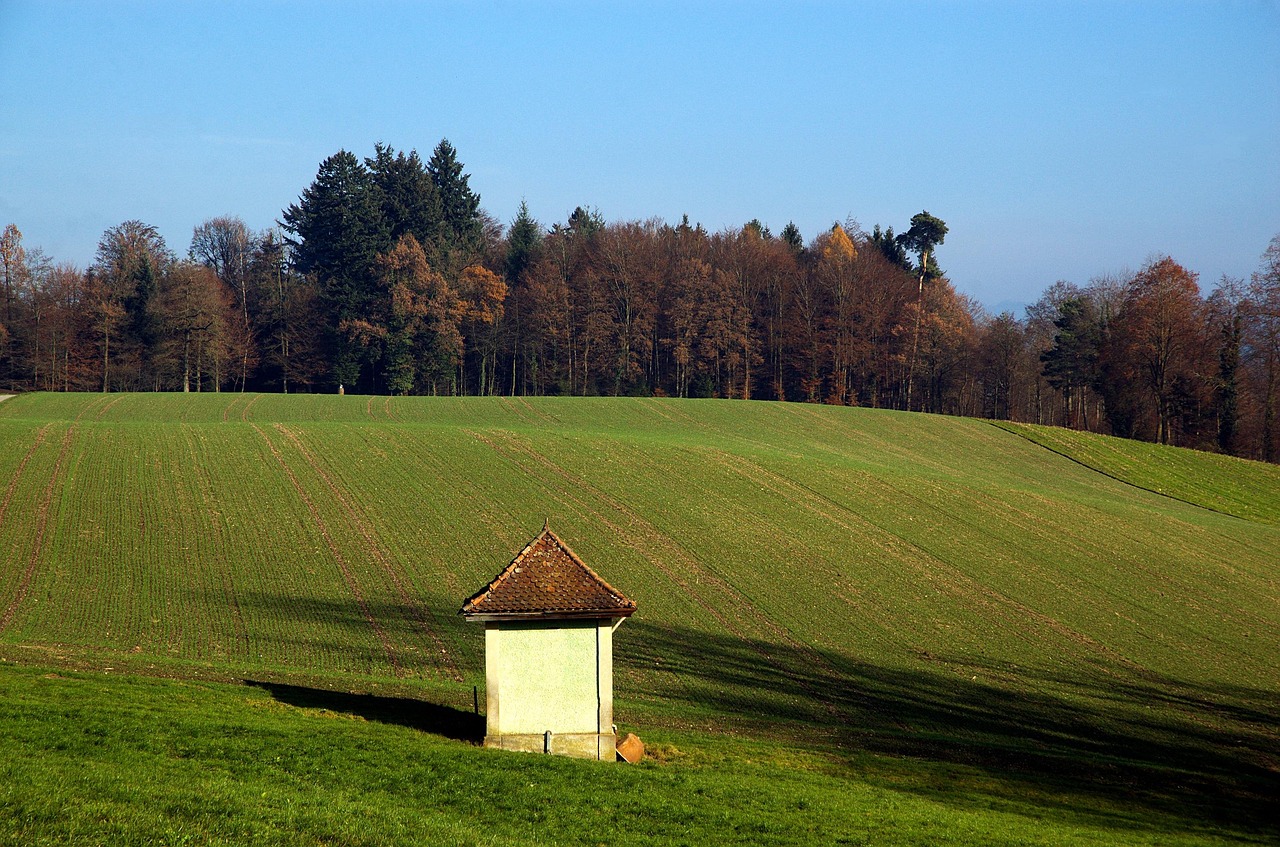 Fields Field Agriculture - Free photo on Pixabay