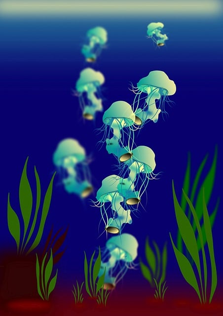 Download free HD stock image of Nature Sea Free nature sea creature illustration