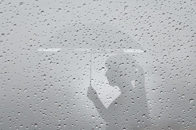 Free rain umbrella woman illustration