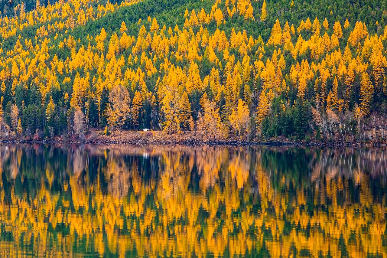 900+ Free Montana &amp; Nature Images - Pixabay