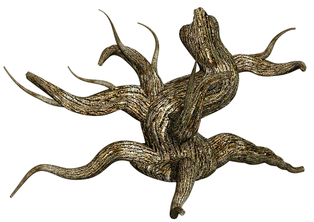 Free stump tree wood illustration