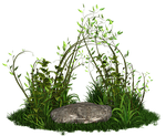 plant, plants, green