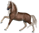 horse, stallion, animal