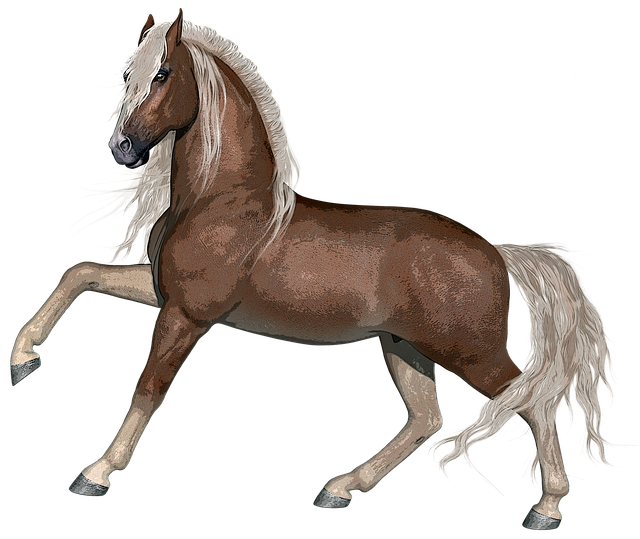 Free horse stallion animal illustration