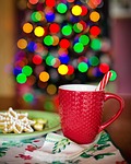 hot chocolate, christmas, christmas tree