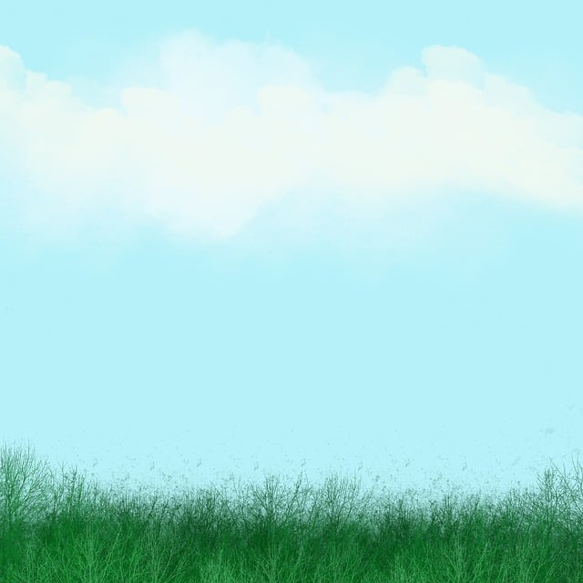 Download free HD stock image of Background Grass Free background grass heaven illustration