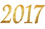 new year, 2017, best wishes