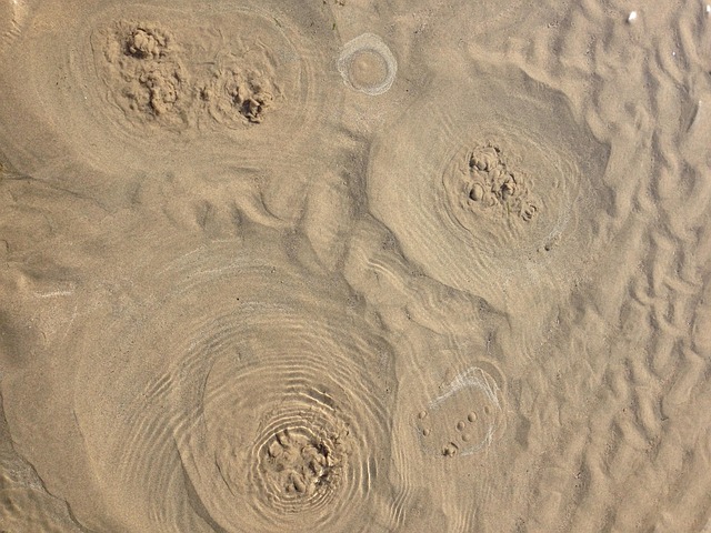 Meer, Sand, Strand, Natur, Blasen
