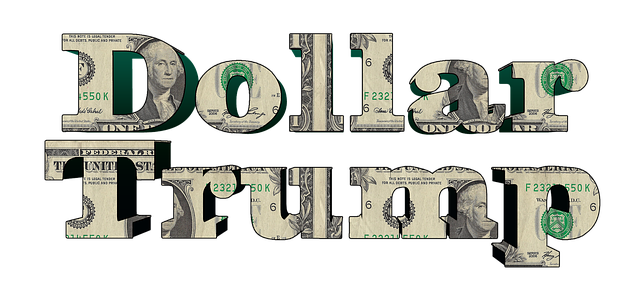 Free usa dollar president illustration