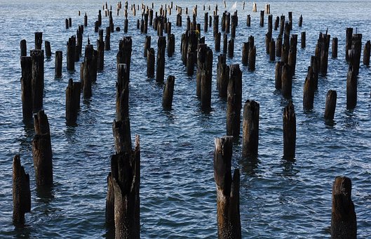 Free New York Docks photo and picture
