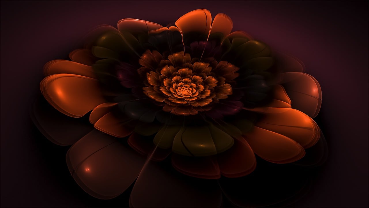 flower-1882830_1280.jpg