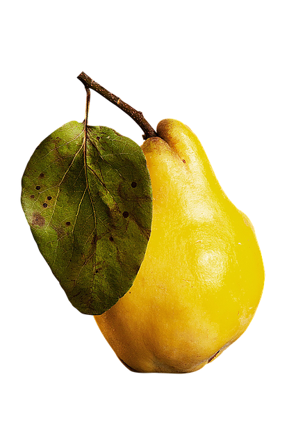 Free Isolated Isolated Fruit illustration and picture