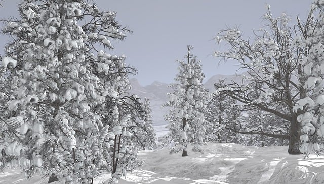 Download free HD stock image of Winter Landscape Free winter landscape snow illustration